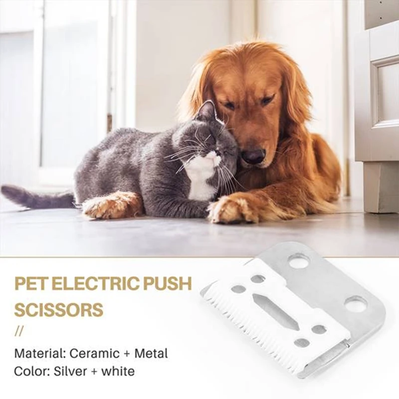 Slide image e736271226e447f0bc75461f4fed5baf