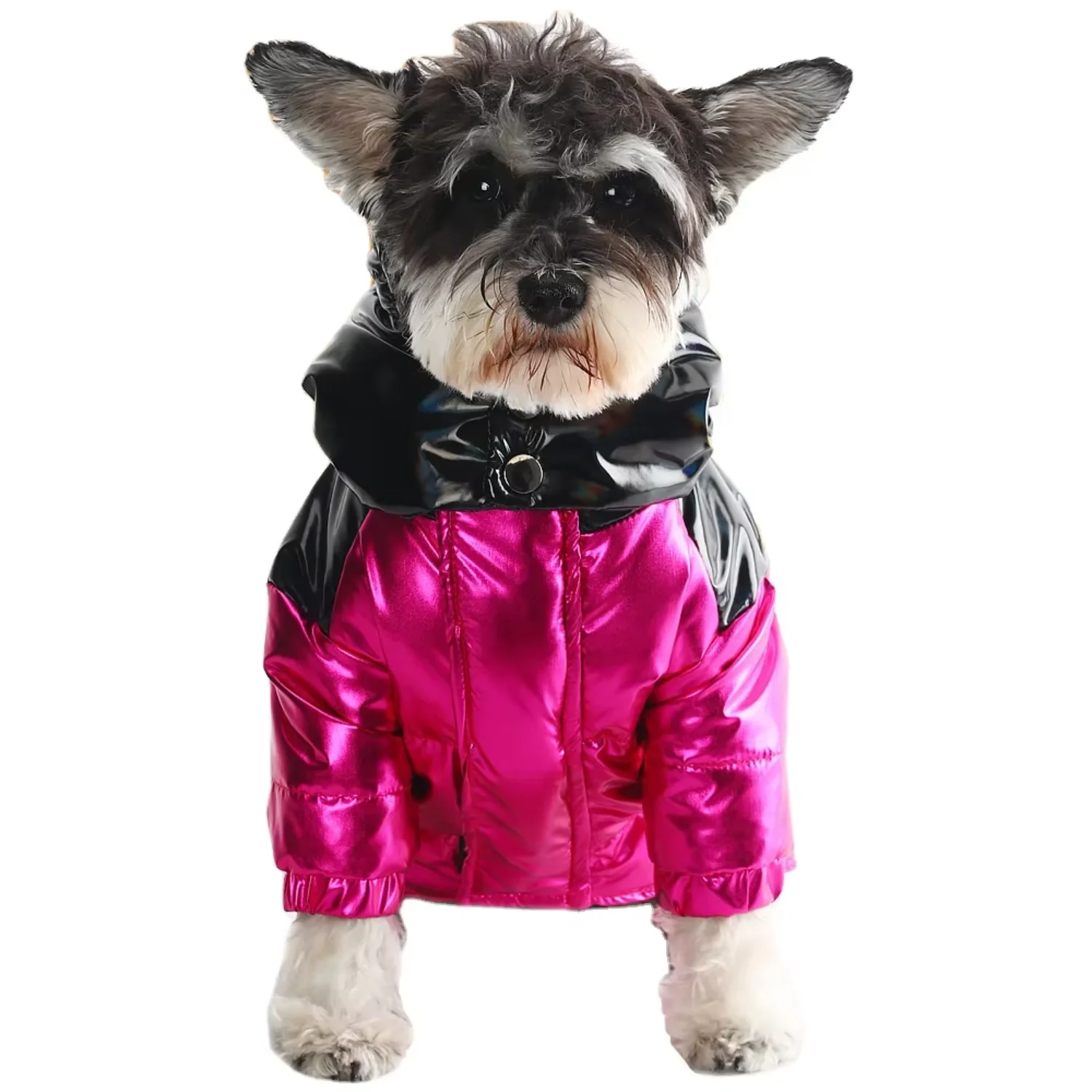 Pet Dog Down Jacket Winter Coat with Cartoon Design, Black & Purple