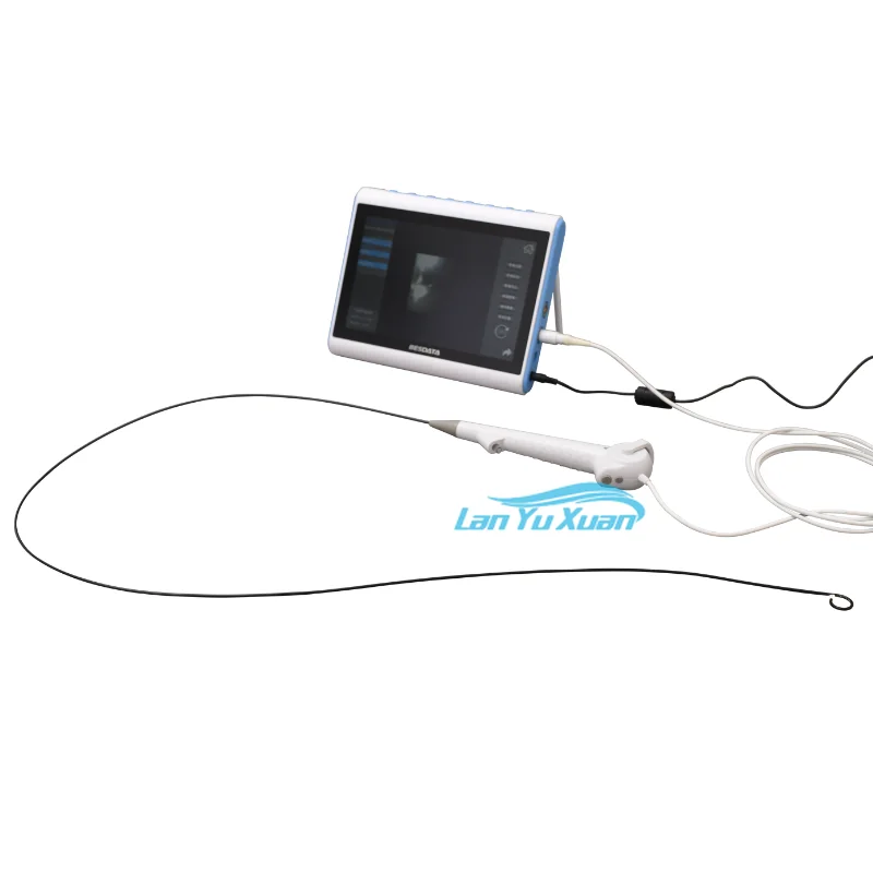 Gastroscope  Good Price Flexible Digital Video Single Use  and Colonoscope Human