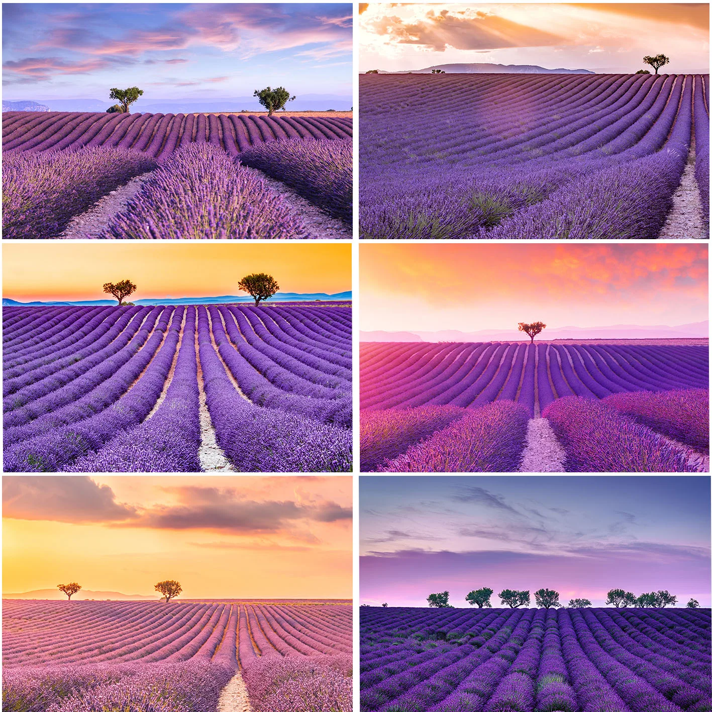 

Lavender Field Backdrop Photography Natural Scenery Purple Flowers Sky Fantasy Background Decoration Photo Studio Props