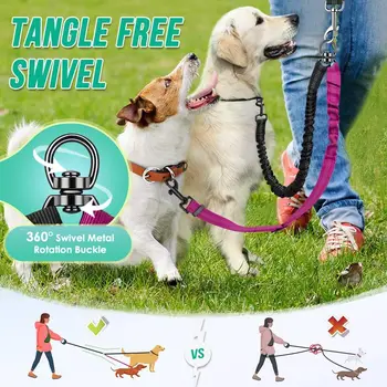 Dual Dog Leash Bungee Attachment 3