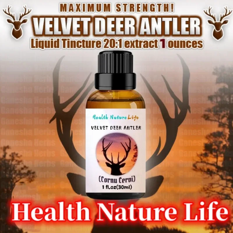 VELVET DEER ANTLER 20:1 LIQUID EXTRACT TINCTURE 1 oz.