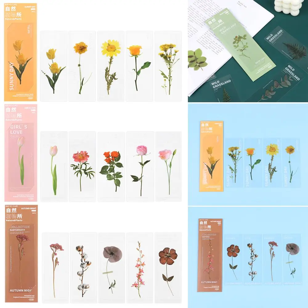 

Supplies Reading Mark PET Page Holder Leaf Vein Specimen Bookmarks Bookmarks Card Nature Plants Bookmarks Translucent Flower