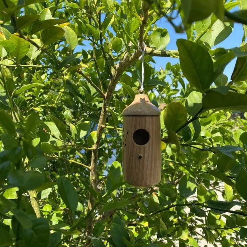 Casetta per Colibrì in Legno, Mini Casa per Uccelli Fatta a Mano, Facile da Installare, Resistente alle Intemperie, Decorazione da Esterno - immagine 2