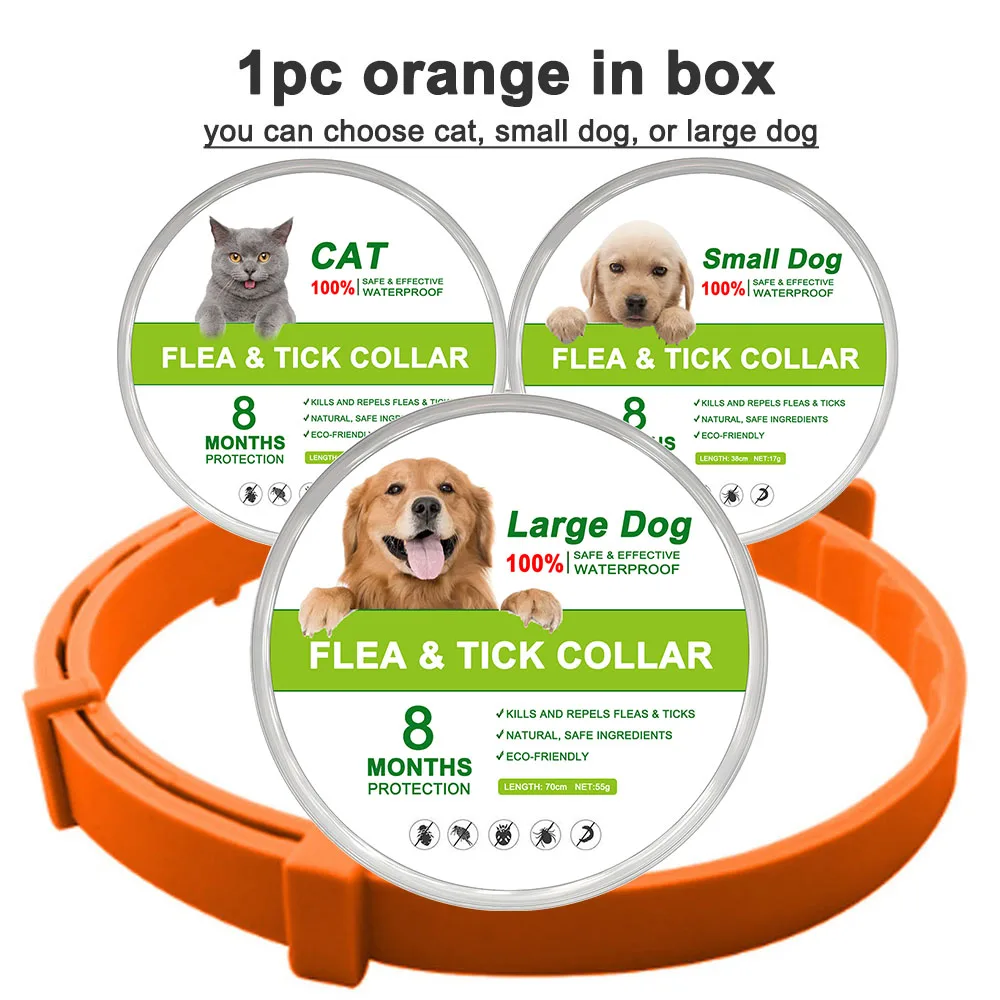 orange (in box)