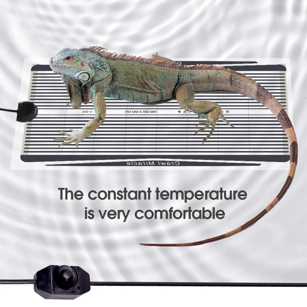 5W 15W 25W 35W Plug Adjustable Temperature Controller Heating Plate for Plants Graphene Reptiles Heat Pad Thermostat Heating Mat