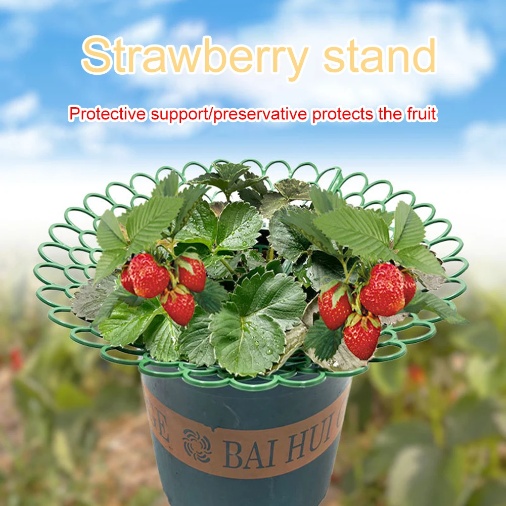 5 supporti per fragole, 3 piedini di supporto robusti per conservare piante, frutta, supporto per coltivazione di ortaggi, attrezzo da giardino - immagine 3