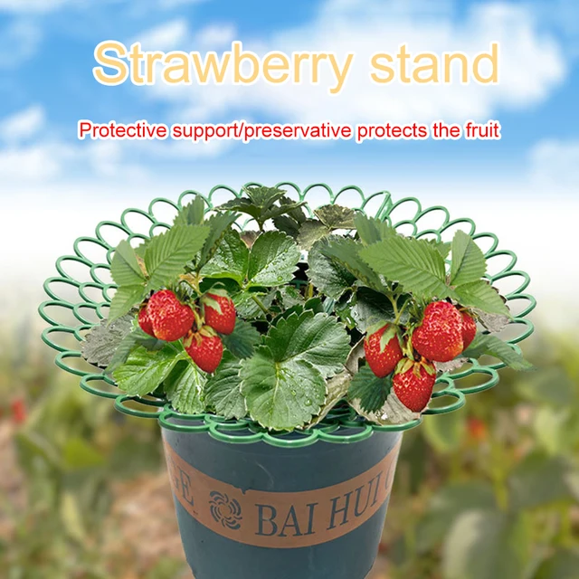 5PCS Strawberry Supports 3 Sturdy Support Feet Keeping Plant Fruit Stand Vegetable Growing Rack Garden Tool 3