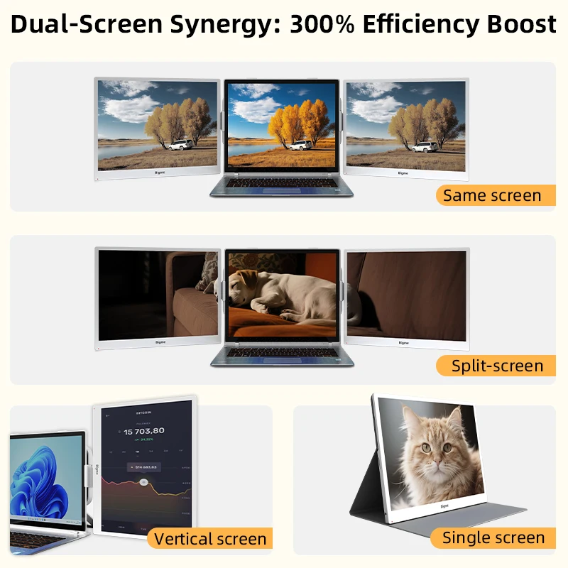 BIGME 電子ペーパー モニター B13、13.3 インチ電子インク