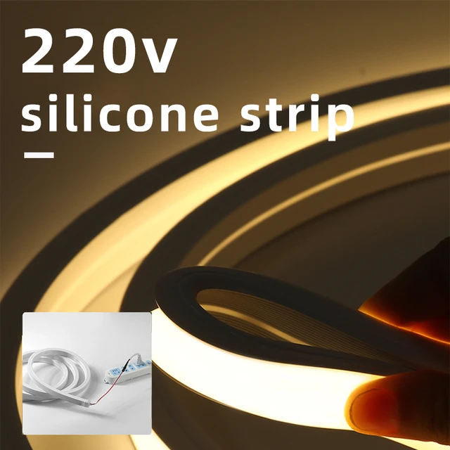 Prise secteur pour Néon Flexible LED 220V - Decoreno