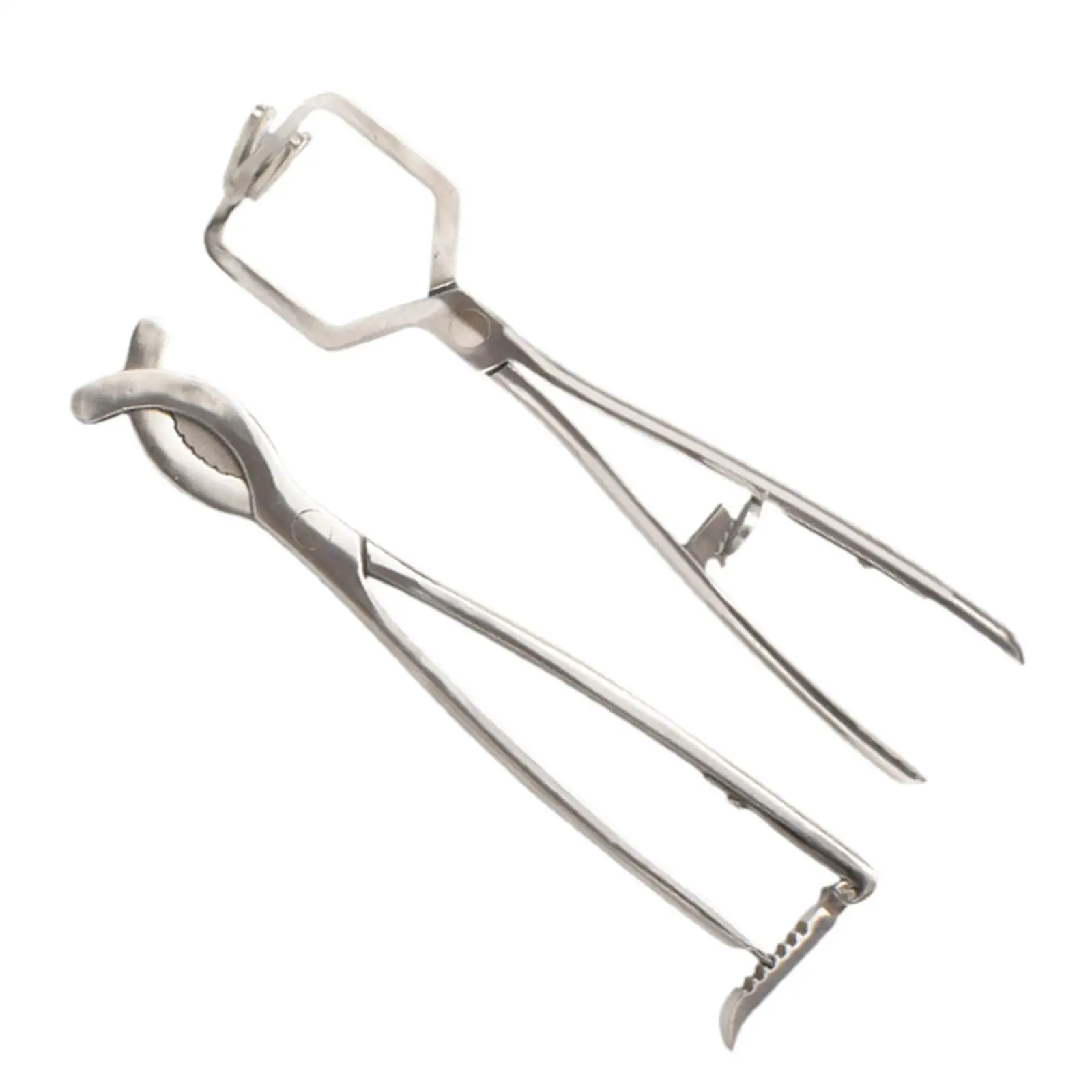 Stainless Steel Bander Livestock Castration Solution Heavy Duty Opener Castrating Plier for Lambs Calves Piglets Veterinary Stainless Steel Bander Livestock Castration Solution Heavy Duty Opener Castrating Plier for Lambs Calves Piglets Veterinary