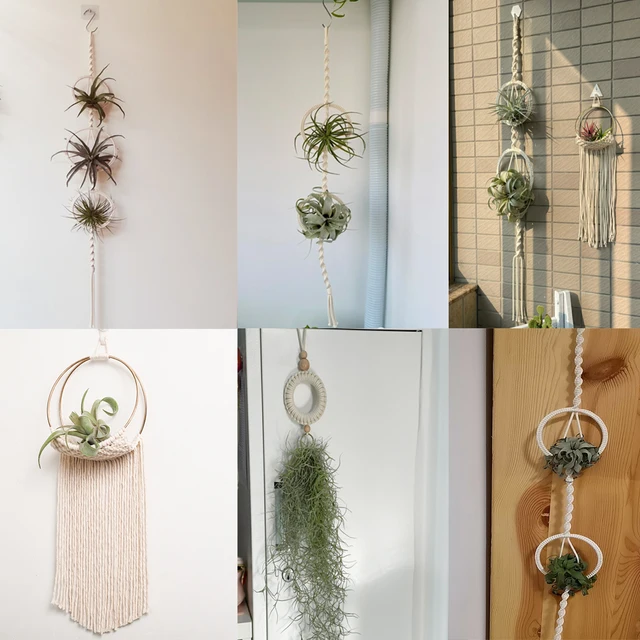 Makrame Növény Tartó Pamutkötél Kosár Függő Légnövények Spanyol Moha Tillandsia Usneoides Virágpot Kosarak Fogas Fali Dekoráció - Image 6