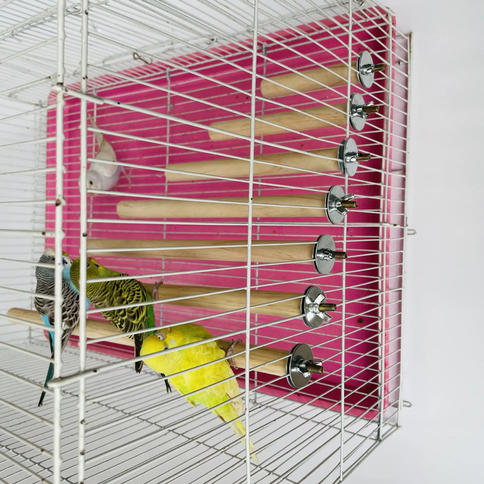 Title 3, Parrot Pet Raw Standing Stick Wood Hanging Stan...