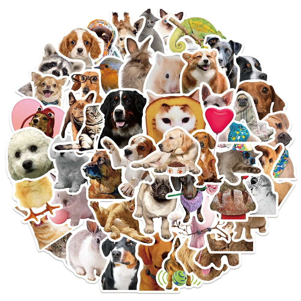 

10/30/52PCS Funny Animal Meme Cartoon Stickers Decals DIY Fridge Phone Suitcase Laptop Notebook Car Wall Joke Sticker Kid Toy