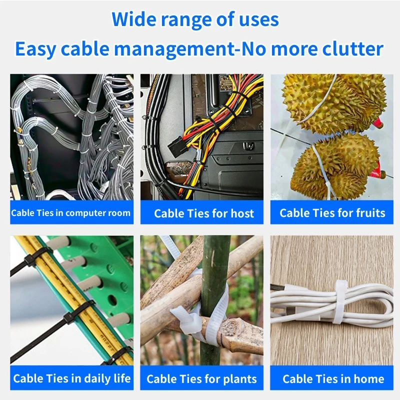 Slide image 8f8266dcb4ba4d058b3e71d2ac63c23b