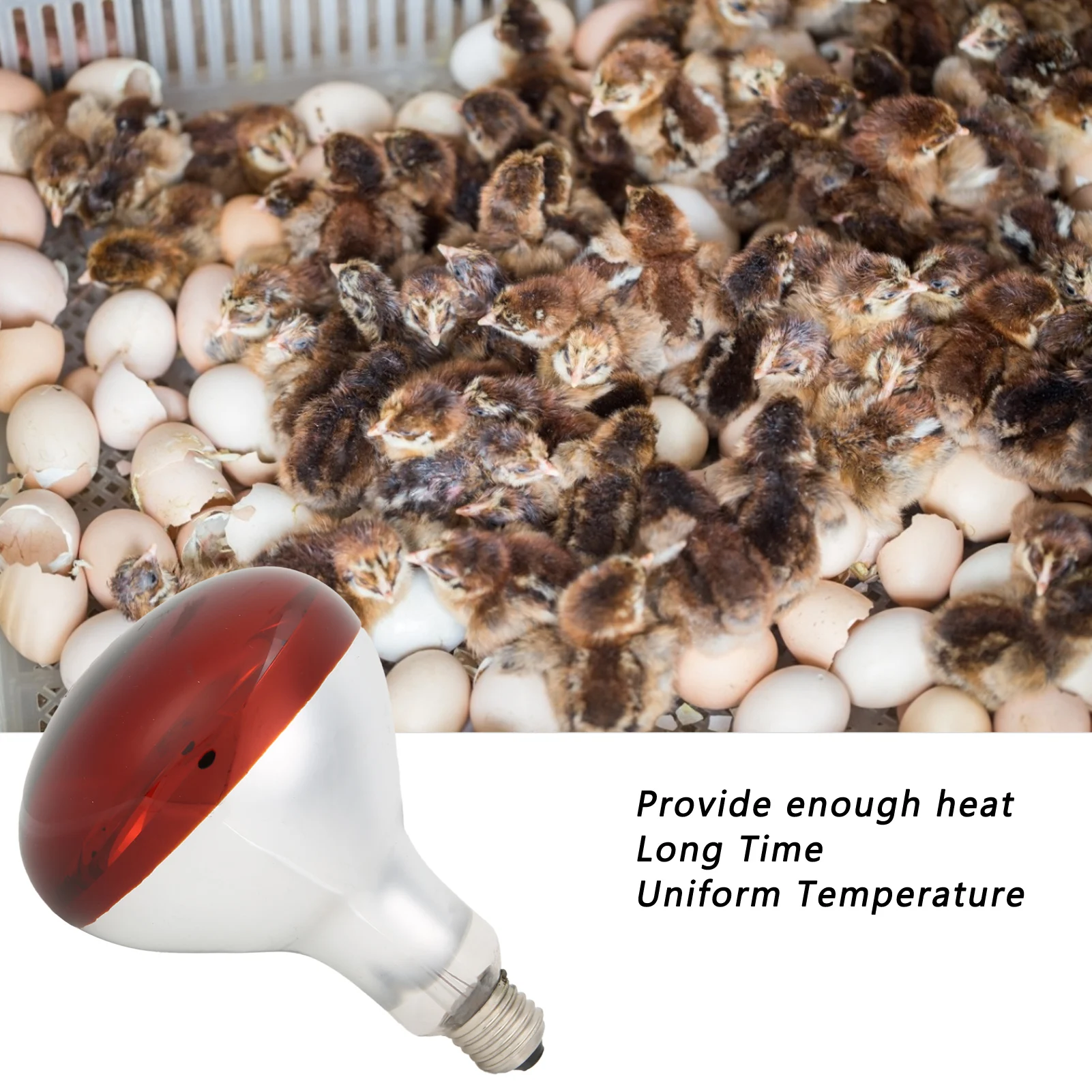 Chicks Heat Lamp Bulb Infrared Basking Spot Heat Reptile Lamp Red Bulb for Brooder 220V / 250W