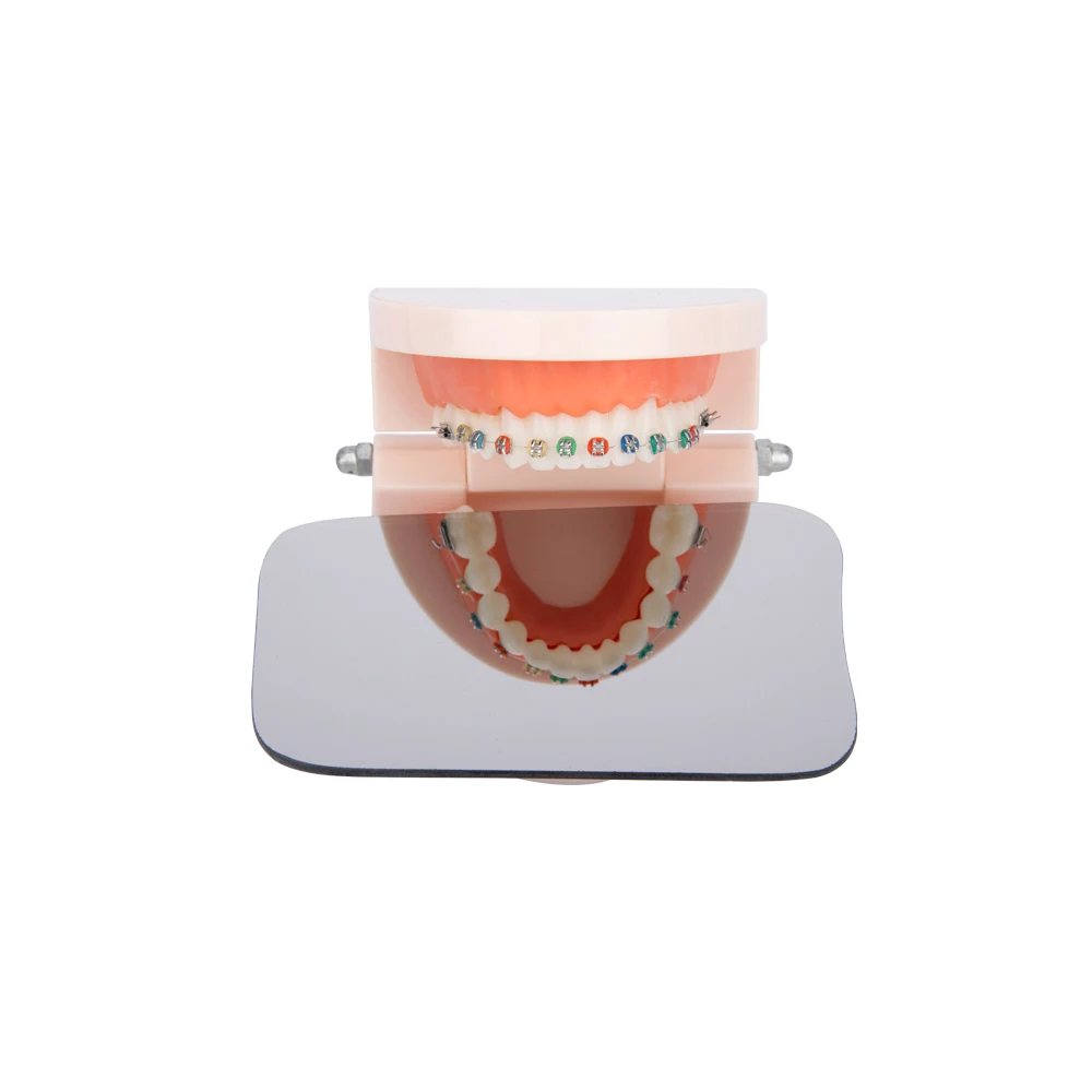 GISTAR 5 Teile/satz Dental Kieferorthopädische Spiegel Fotografie Doppelseitige Spiegel Oral Intra Werkzeuge Glas Material Zahnmedizin Reflektor – Detail 6