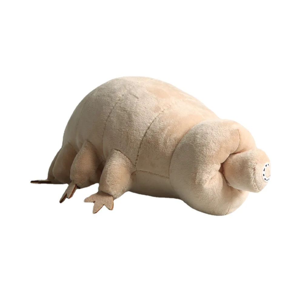 25 cm 3 pièces - Jouet en peluche de simulation Highland pour