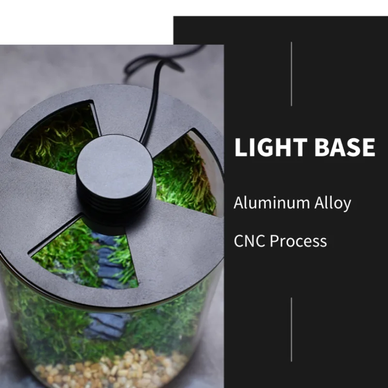 Micro Landscape Glass Terrarium 4