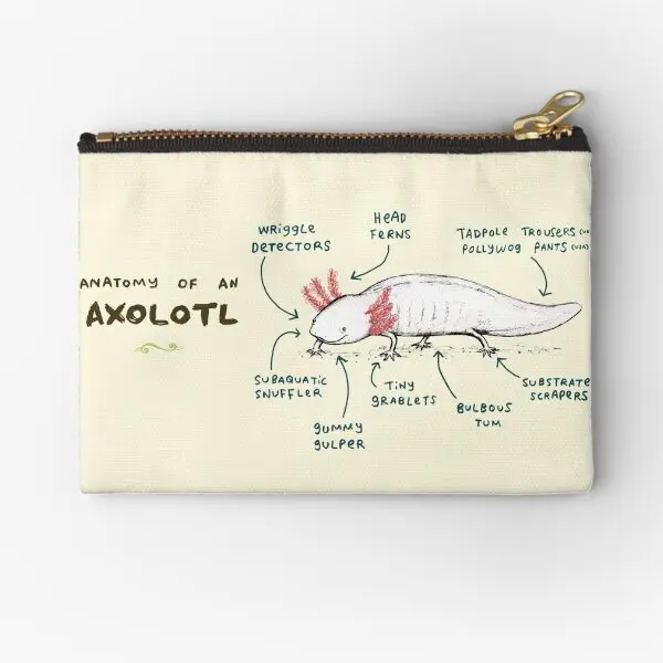 

Anatomy Of An Axolotl Zipper Pouches Men Underwear Cosmetic Storage Pocket Small Women Panties Bag Socks Key Money Coin Wallet