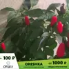 Изображение товара 0