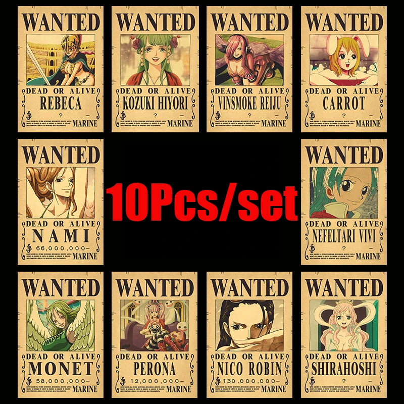 Toei Animation Puts One Piece on Indefinite Hiatus After Security Breach -  YouTube