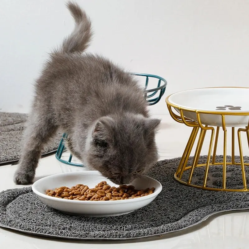 Pet food bowl 1Set Pet Ceramic Bowl Iron Rack Cat Food Snacks Canned Plate Anti-black Chin Anti-turning Water Does Not Leak Easy To Eat