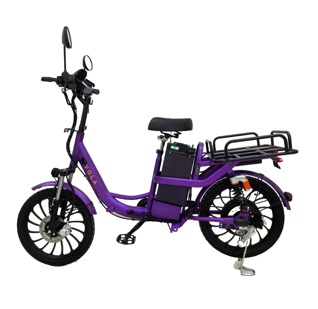 Intelligent Library China Venor Electric Bicycle For Delivery 20