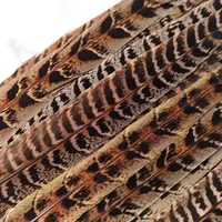 25-30cm Pheasant Tail Feathers 10Pcs 2
