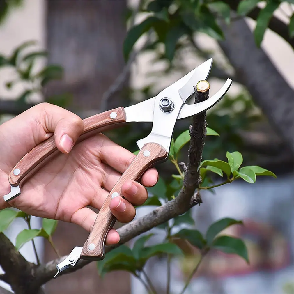 Multifunctional Garden Pruning Shears Fruit Picking Scissors Pruning  Household Potted Hand Small Scissors Gardening Tool M4YD - AliExpress