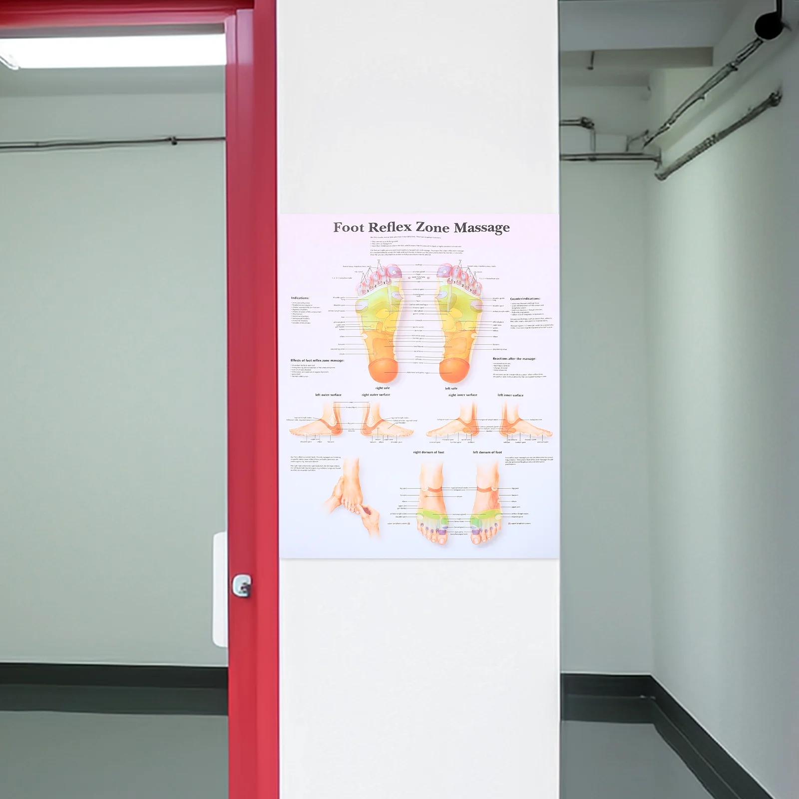 

Decorative Painting/hanging Picture Foot Reflexology Poster Office Posters Canvas Chart Massage