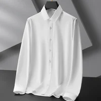 Chemise à manches longues pour hommes, couleur unie, décontractée, résistante aux rides, confortable, polyvalente, toutes saisons, nouvelle collection 1