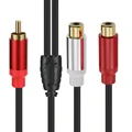 RCA male to female