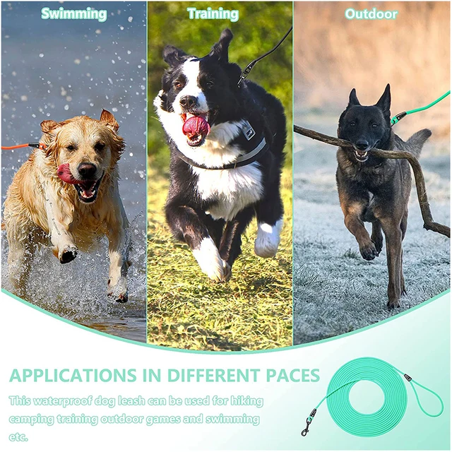 Dog Leash Waterproof Training Recall Long PVC Pet Leashes 5FT 10 FT 20FT 30FT Great for Training Beach Yard Play 6