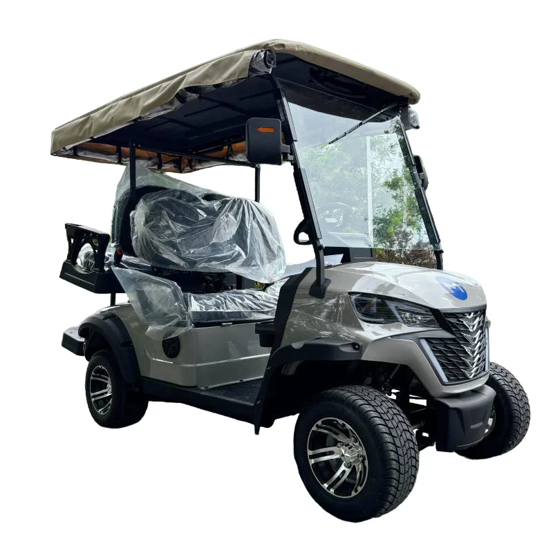 Golf Carts 4 Seater Lithium Gas Scooter Go Kart ATV Buggy Adult Touring Solar 4*4 Electric Cart