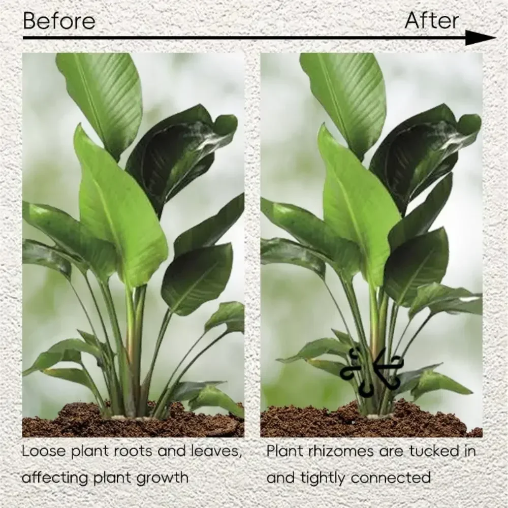 4PCS Reusable Plant Stem Support Folding Frame Garden Tools No Stake Trellis Support Branches Organizer