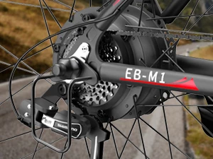 electric bike for adults