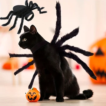 Spooky Spider Pet Costume 1
