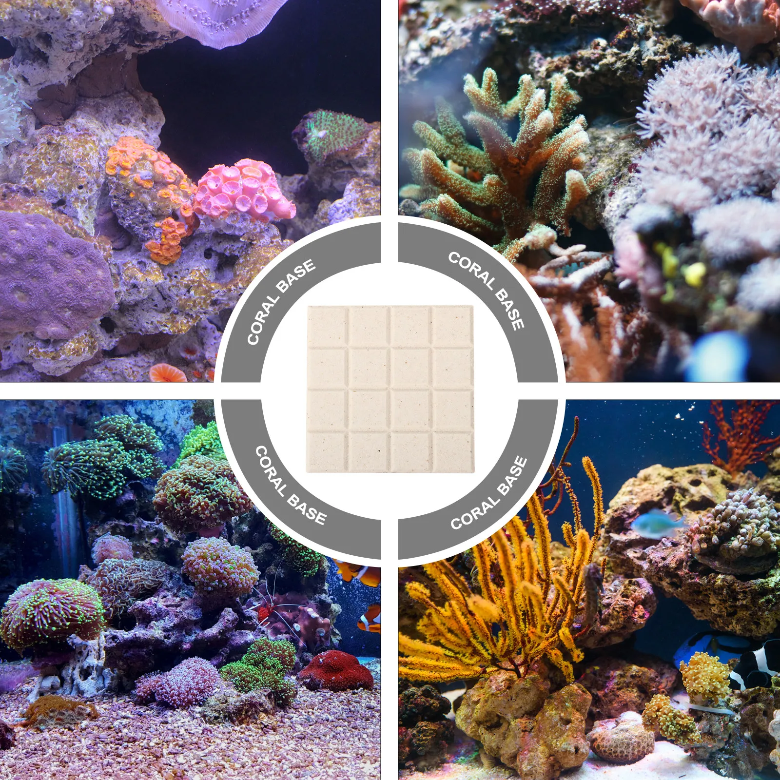 10 Stück Korallenhalter für Aquarien, Keramik-Zuchtbasen für Korallenfragments, Fischbecken-Stützen, hochbeständiges Aquariumgestell – Detail 5