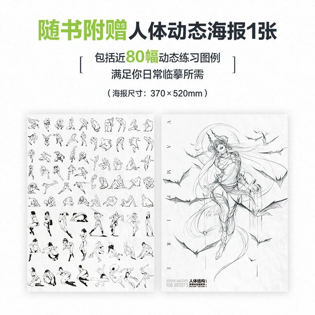 Como desenhar manga: 360 ° cartoon solução completa anime personagem  pintura livro corpo humano estrutura pintura curso - AliExpress