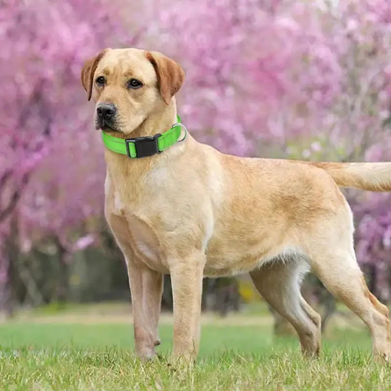Dog Collar Reflective Dog Collar Adjustable Cat Collar Safety Nylon Pet Durable Comfortable Reflective Pet Supplies