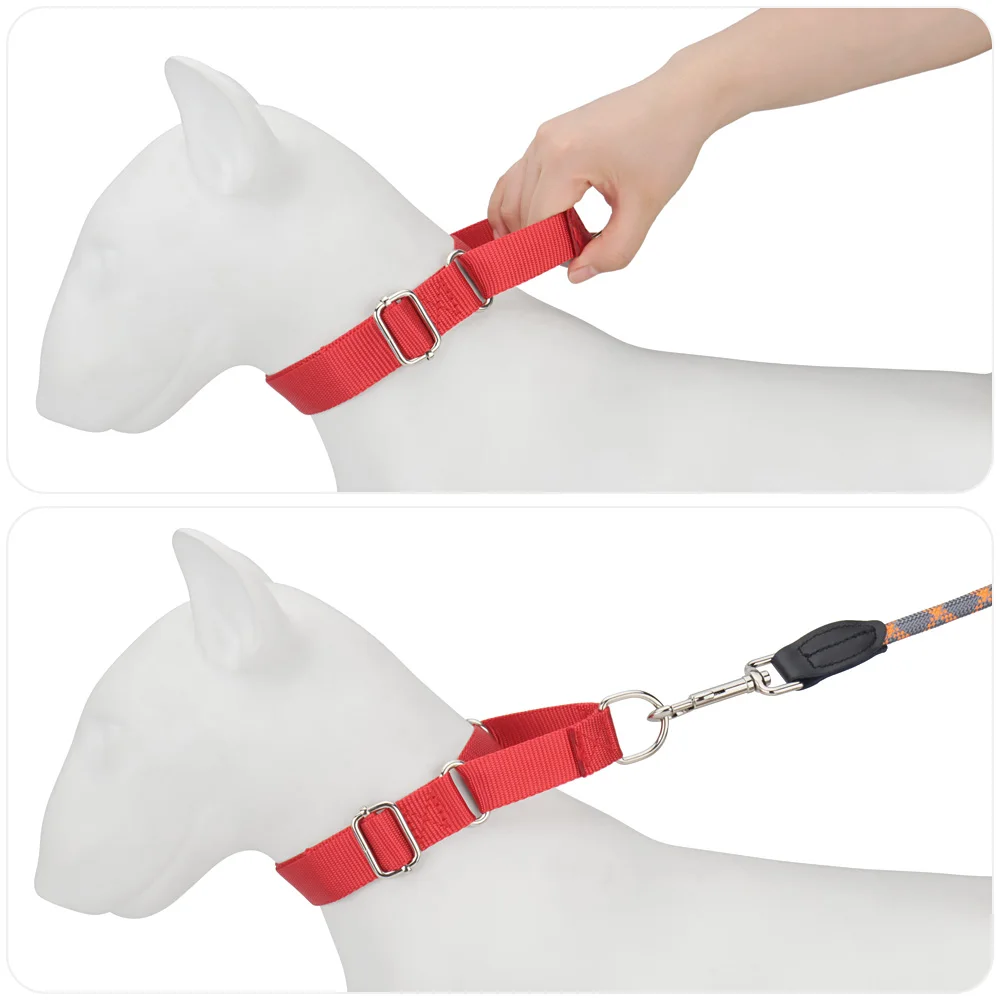 Prong Collar Petco Training Leash Prong Collar Martingale Dog