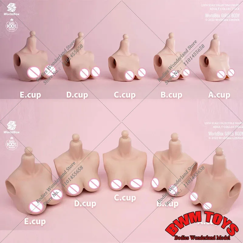 Worldbox 1:6 Big Bust Breast Replacement Cover Model For 12