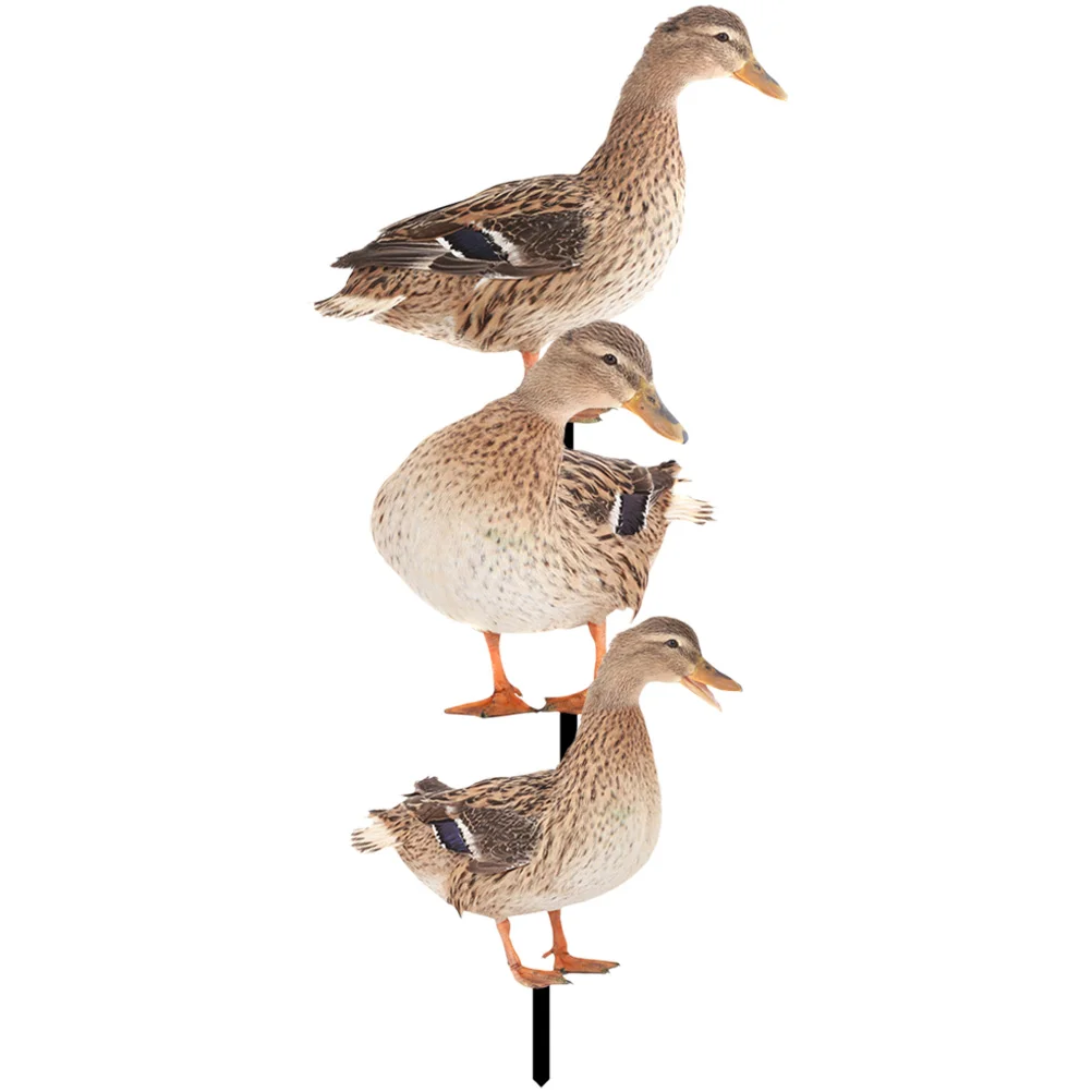 

3 шт., декоративные акриловые вставки для сада