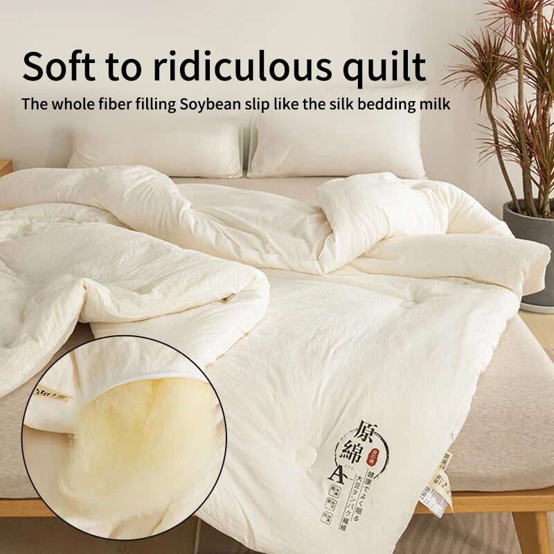 Raw Cotton Soybean Quilt Spring and Autumn Quilt Thickened Winter