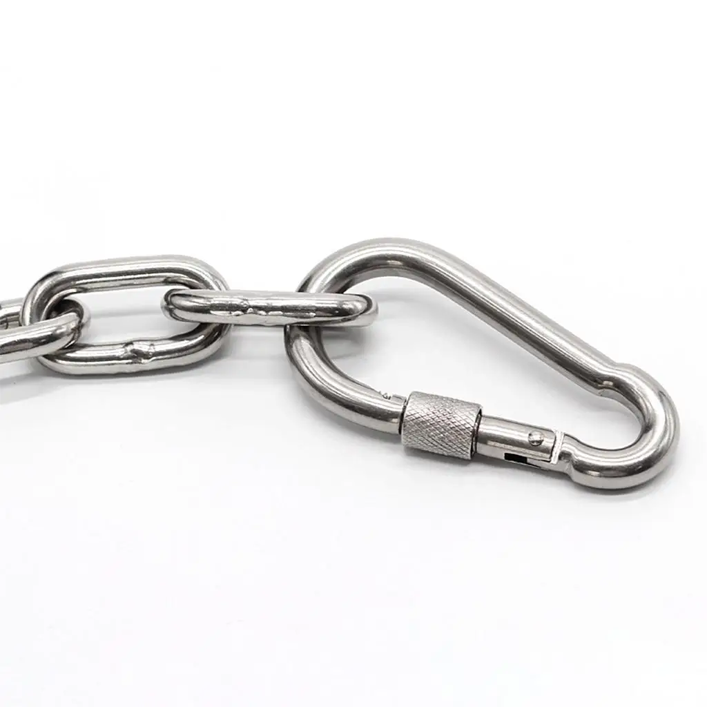 

2Pack Locking Carabiner D-Ring Hooks Keychain Clips for Hammock