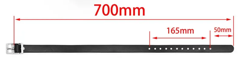 Mordaza de lengua fija para adultos, juego de yugo para la boca, Control erótico, acondicionamiento, productos eróticos para adultos. 3 Mordaza de lengua fija para adultos, juego de yugo para la boca, Control erótico, acondicionamiento, productos eróticos para adultos. 3