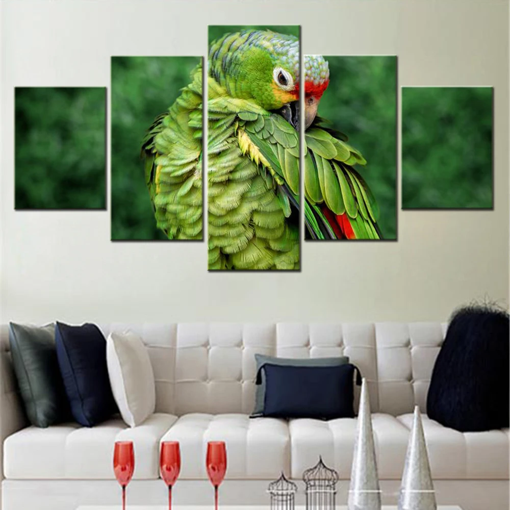 5 Pieces Canvas Wall Art Animals Parrot Photo Wallpaper Painting Living