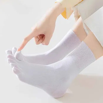 벨벳 여름 얇은 코튼 단색 통기성 흡수성 발가락 양말, 봄 가을 여성 양말, 소녀 선물 삭스