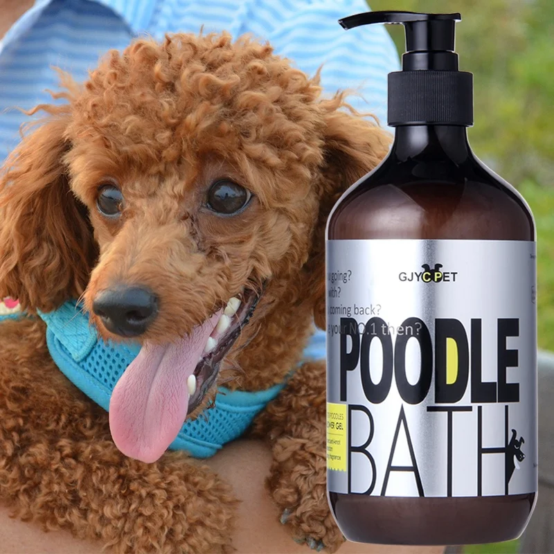 Best Dog Conditioner For Poodles corona.dothome.co.kr